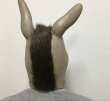 Carregar imagem no visualizador da galeria, MÁSCARA BURRO SHREK COSPLAY
